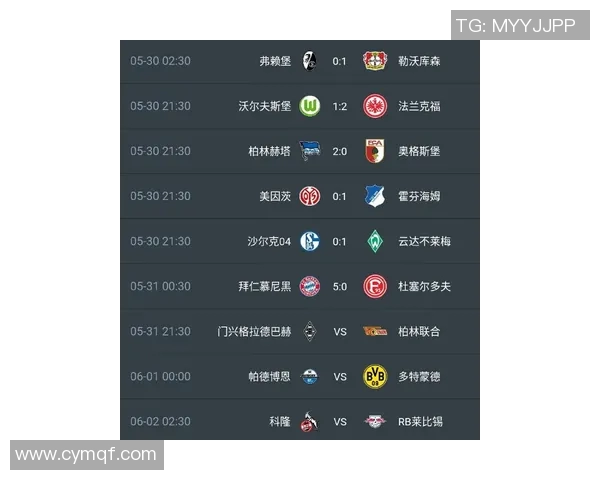 德甲射手榜动态分析及排名变化趋势探讨